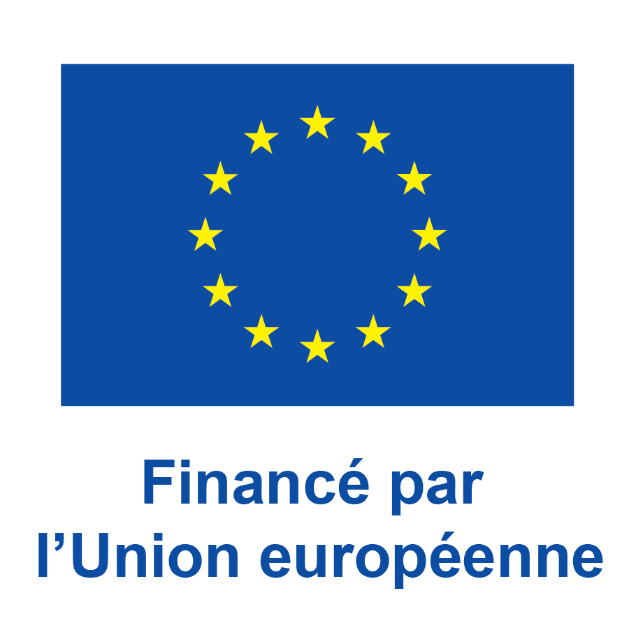 Nouveau Logo FSE+ - Vertical